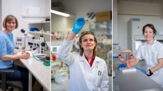 17. ročník talentového programu L’Oréal-UNESCO Pro ženy ve vědě zná tři nové vítězné projekty - Léčba rakoviny, vývoj neurovývojových poruch a přeměna CO2