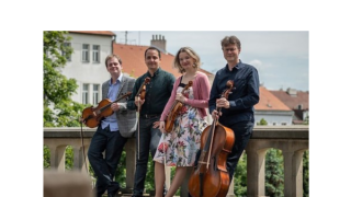 Festival Stamicovy slavnosti