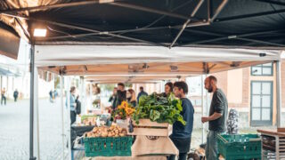 Pražská produkce odhalí, co všechno lze vypěstovat, sklidit a vyrobit přímo v metropoli