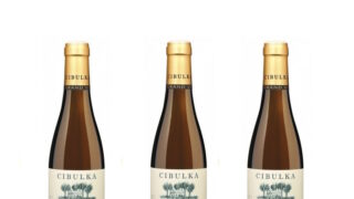 Nejlepší Ryzlink vlašský má Vino Cibulka