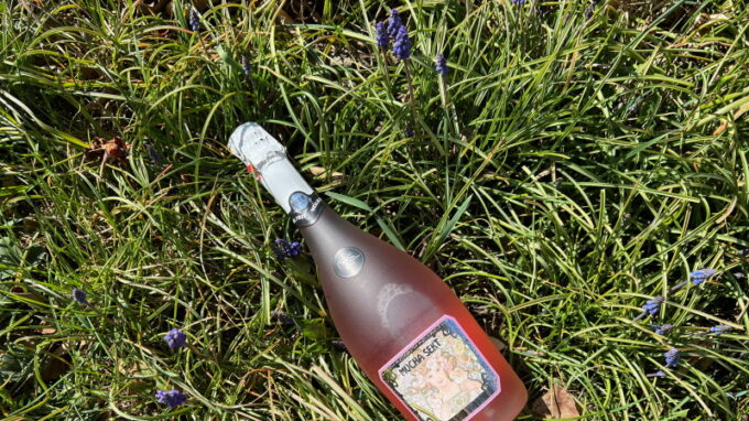 Růžový veganský Mucha Sekt vítězem Volby spotřebitelů 2023