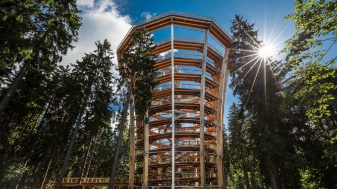 Stezka korunami stromů Krkonoše oslaví další narozeniny