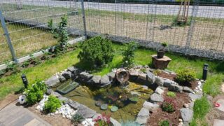 Zahrada - Ilustrační snímek