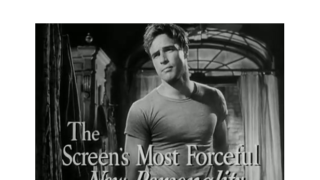 Příběhy obyčejných věcí: Historie trička...Ze spodku na svršek díky Brandovi