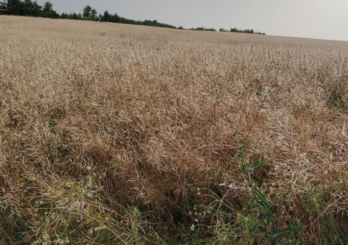 Desítky milionů korun pro zemědělce na jižní Moravě