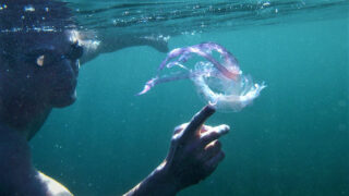 Ilustrační snímek