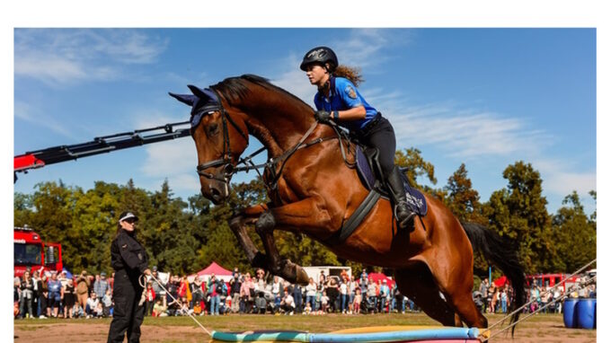 Den hrdinů na Výstavišti Praha: I ty sám buď hrdinou!