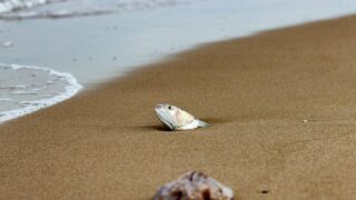 Ilustrační snímek