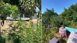 Pozemek, kde žije Regina