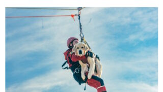 Může být každý hrdinou všedních dnů? I na to odpoví další ročník akce Den hrdinů Na Výstavišti