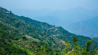 Program OSN pro životní prostředí (UNEP) oznamuje, že Saúdská Arábie bude v roce 2024 hostit Světový den životního prostředí