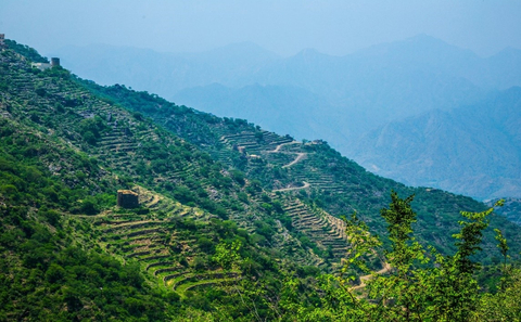 Program OSN pro životní prostředí (UNEP) oznamuje, že Saúdská Arábie bude v roce 2024 hostit Světový den životního prostředí