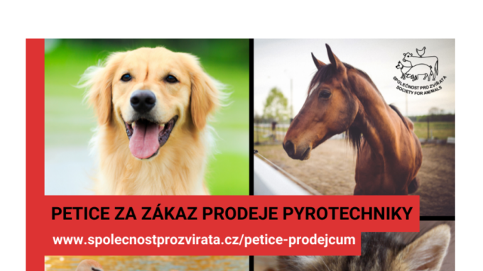 Petardy, ohňostroje ubližují, Společnost pro zvířata vyzývá k ukončení prodeje a použití, regulaci podporuje i ministr životního prostředí