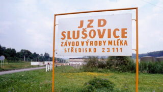 Ilustrační snímek