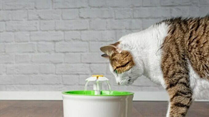 Ilustrační snímek