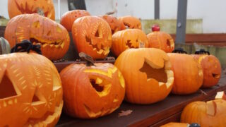 Zábava pro celou rodinu na Střídačce, Na Výstavišti: tvořivá hlína, dlabání dýní, příprava na Vánoce i krampus