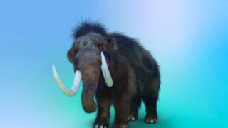 Svoboda, pluralita, bezpečnost: ochrana soukromí a zabezpečení dat na síti Mastodon