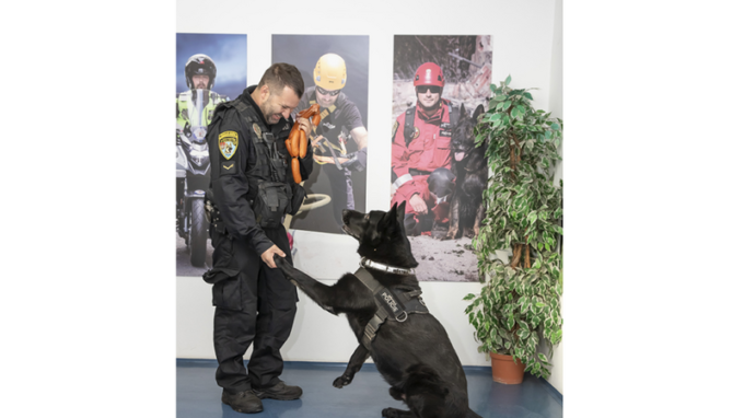 Známe vítěze ankety Statečné psí srdce 2022