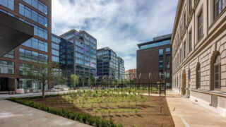 Každý šestý v Brně pracuje v oboru podnikových a IT služeb. Příští rok přibude až dva tisíce nových míst