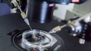 Když “Plodnost není samozřejmost”