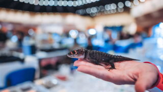 34. ročník nejznámější mezinárodní teraristické akce v ČR