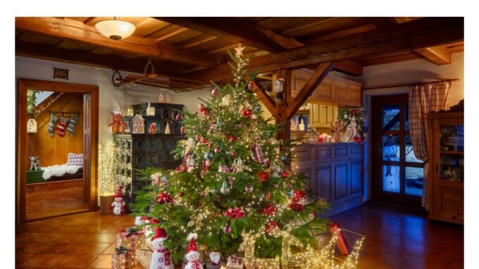 Ani letos nebudou na vánočním trhu chybět kvalitní dánské jedle