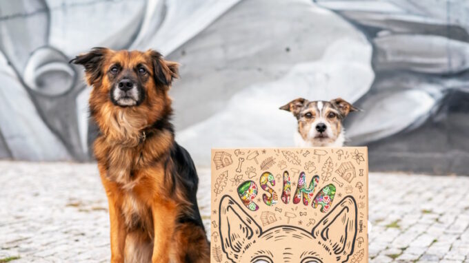 Štědrý večer nastal, psí dárky nachystal!