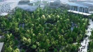 V místě konání Expa začala výsadba Lesa klidu