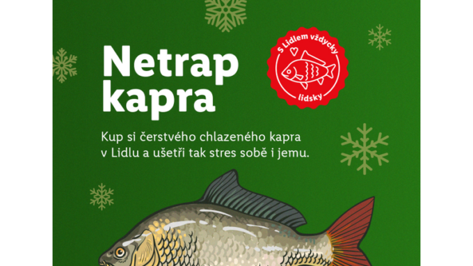 Konec utrpení, Lidl prodává pouze kapří filety a ne živé kapry v kádích