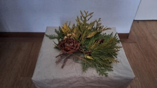 Ekologické Vánoce v Ústeckém kraji