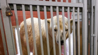 Ilustrační snímek