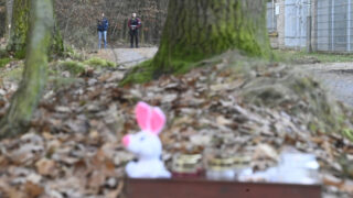 Desítky policistů od úterního rána 19. prosince 2023 pročesávají Klánovický les u Prahy.