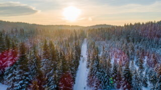 57. ČEZ Jizerská 50 naplnila kapacitu závodu na 50 km. Na zbylé trasy zbývají poslední desítky volných míst