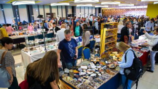 Vltavíny i ještěrka v jantaru na Minerálech a drahých kamenech