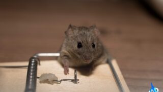 Ilustrační snímek