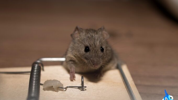 Ilustrační snímek