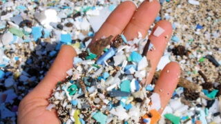 Mikroplasty jsou všude, ovlivnit můžeme to, kolik jich vypijeme