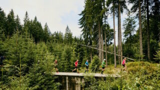 Desátá sezona Běhej lesy je za bukem: První závod čeká lesní smečku už za měsíc