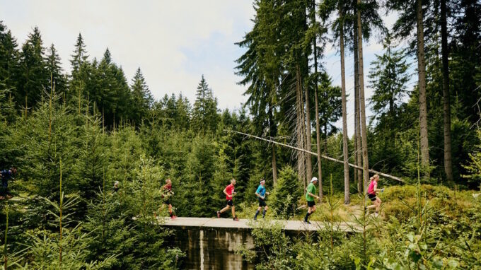 Desátá sezona Běhej lesy je za bukem: První závod čeká lesní smečku už za měsíc
