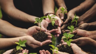 21. března slavíme Světový den sázení