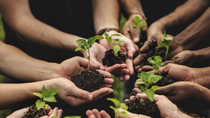 21. března slavíme Světový den sázení