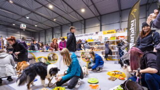 Světové trendy v oblasti chovatelství domácích a exotických zvířat představí největší veletrh svého druhu v České republice FOR PETS