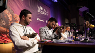 V Kolumbii se konala první tisková konference s kočkami