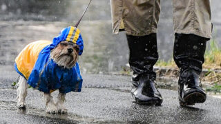 Počasí - Ilustrační snímek