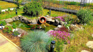 Jezírko s rybyčkami, které je radostí...