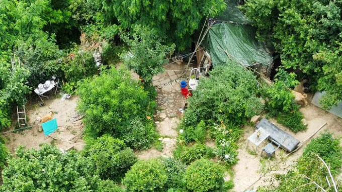 Příbytek Reginy z VyVolených