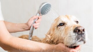 Ilustrační snímek