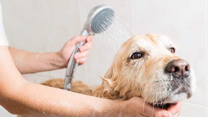 Ilustrační snímek