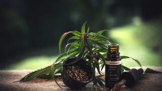 Ilustrační snímek