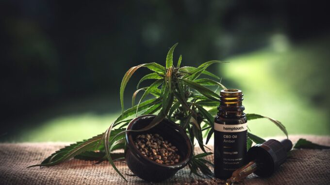 Ilustrační snímek